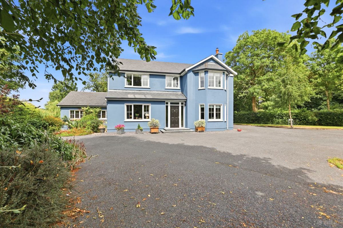 front of the house / yard