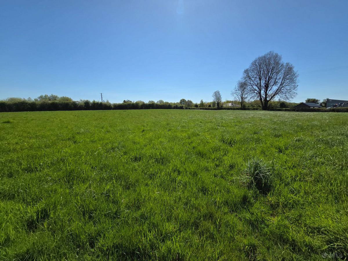 land