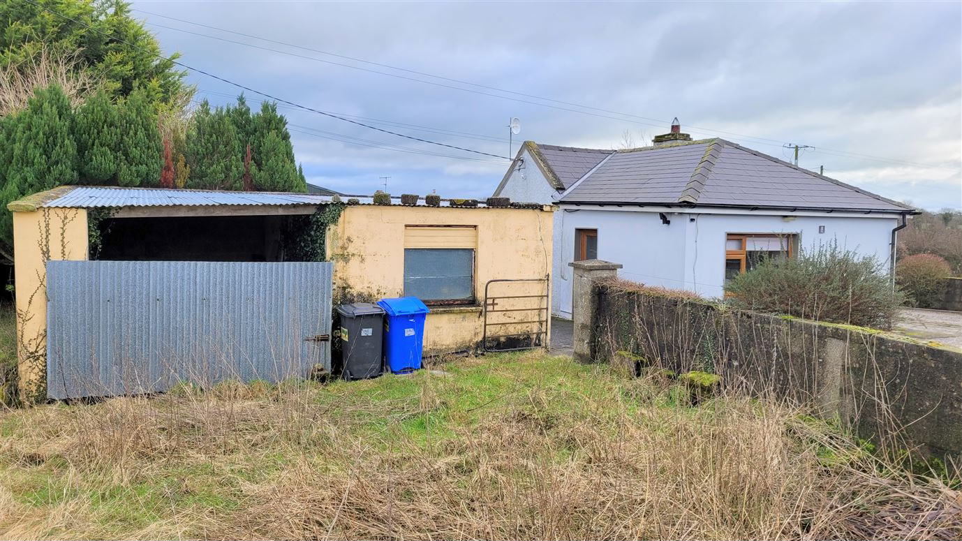 rear yard