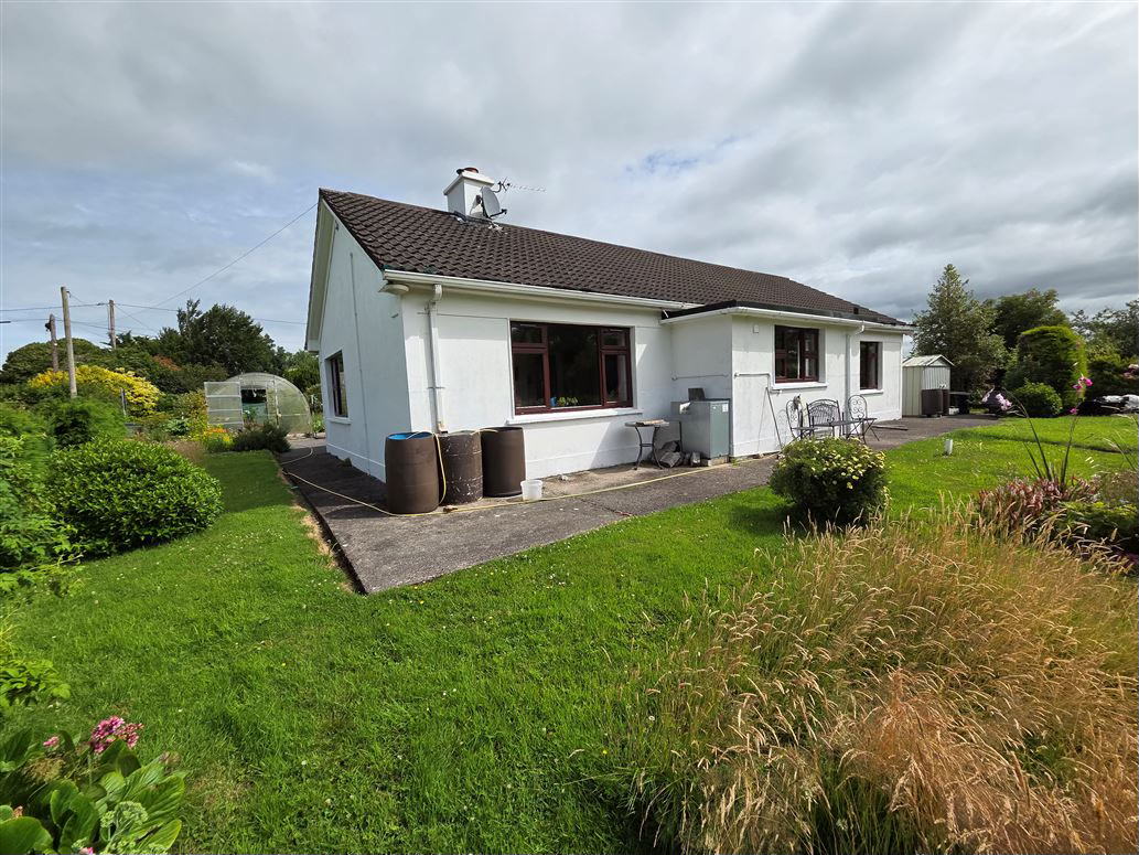 rear of the house