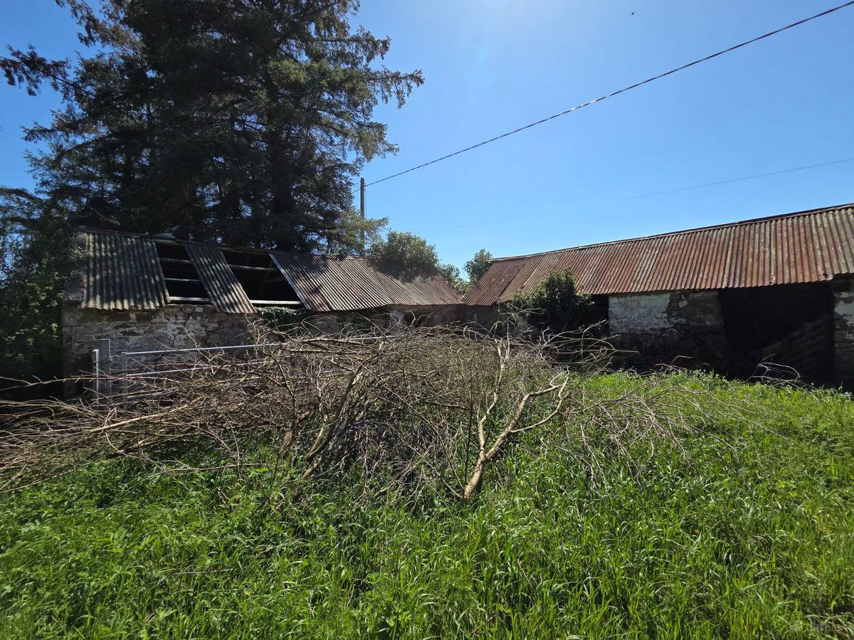 outbuilding