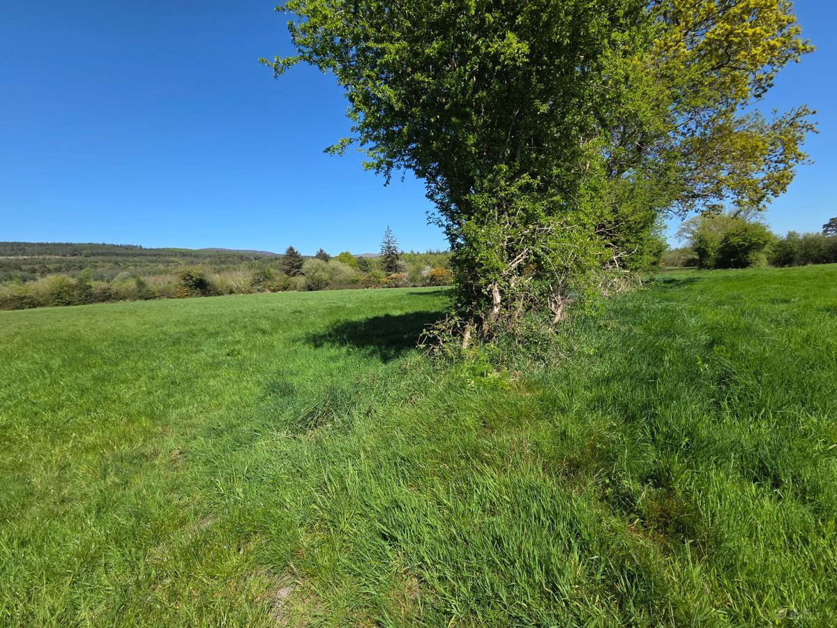 land